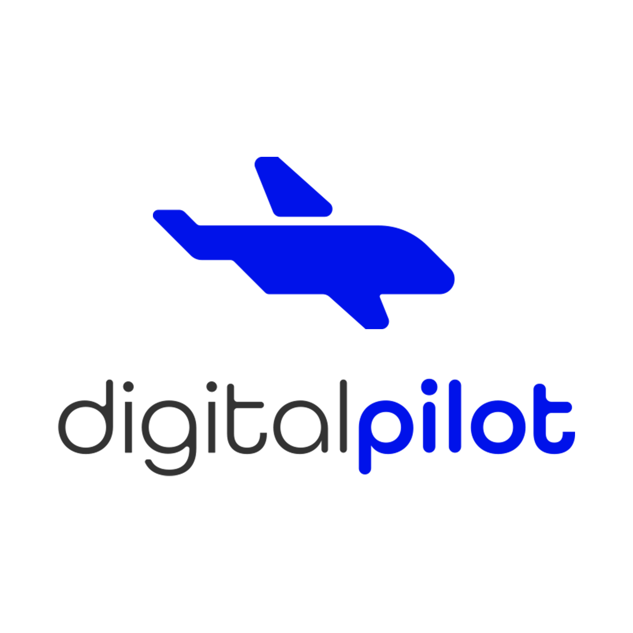 Digital Pilot